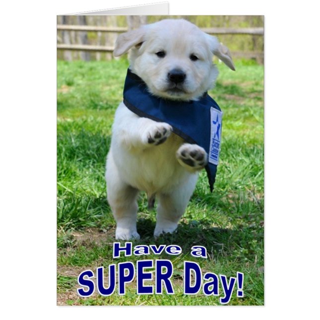 Super Day-kaart (Voorkant)