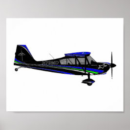 Super Decathlon met Sporty Black Paint Scheme Poster