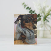 Super Dog. Briefkaart (Staand voorkant)