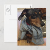 Super Dog. Briefkaart (Voorkant / Achterkant)