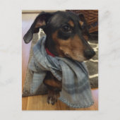 Super Dog. Briefkaart (Voorkant)