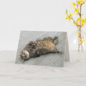 Super Excited Cat Birthday Kaart (Gele Bloem)