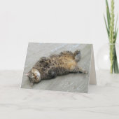 Super Excited Cat Birthday Kaart (Voorkant)