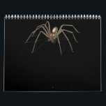 Super Funny Scary Spider Halloween Costumes Kalender<br><div class="desc">Spider Gift Super Funny Scary Spider Halloween Costumes.</div>