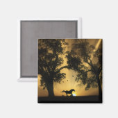 Super galoping, vrij paardenmagneet magneet (Voorkant / Achterkant)