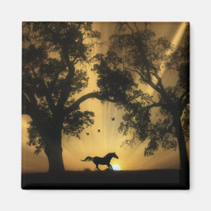 Super galoping, vrij paardenmagneet magneet