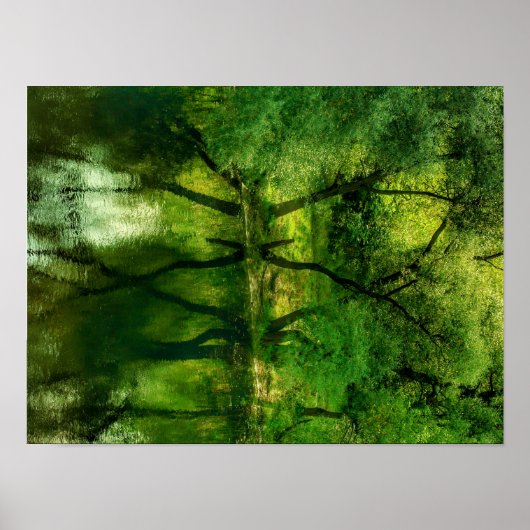Super Groene Rivier Bomen Reflectie A3 Poster (Voorkant)