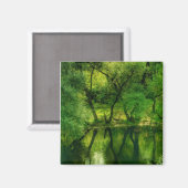 Super Groene Rivier / Meer Bomen Reflectie Magneet (Voorkant / Achterkant)