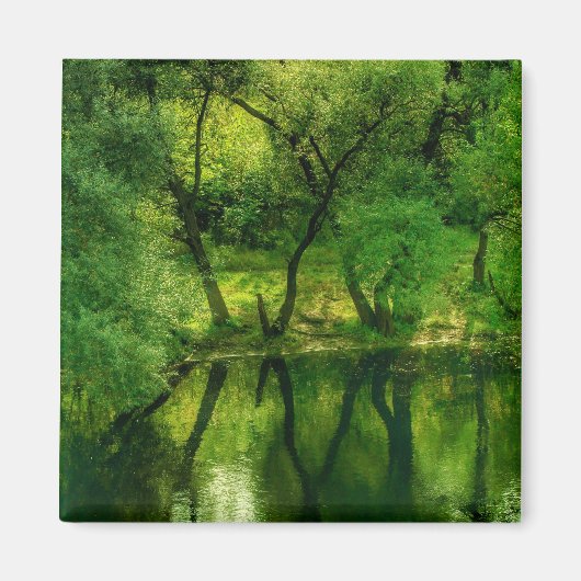 Super Groene Rivier / Meer Bomen Reflectie Magneet (Voorkant)