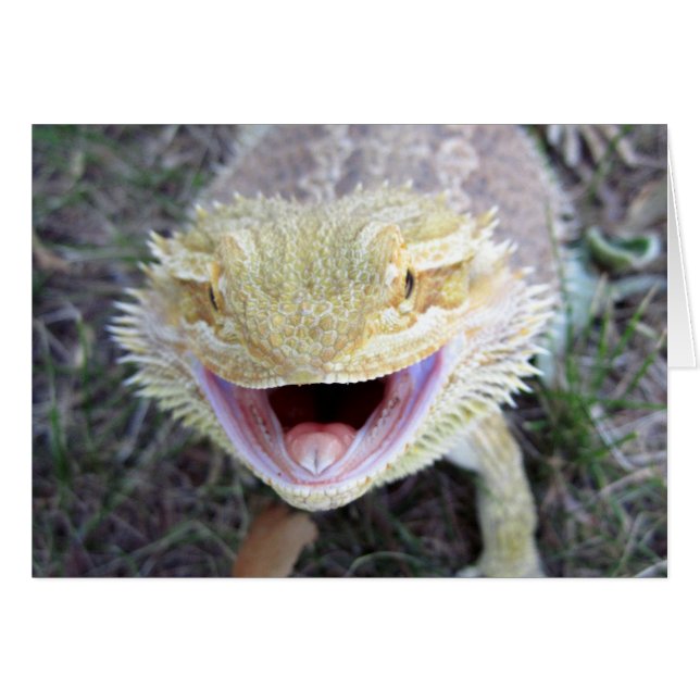 Super Happy Bearded Dragon (Voorkant Horizontaal)