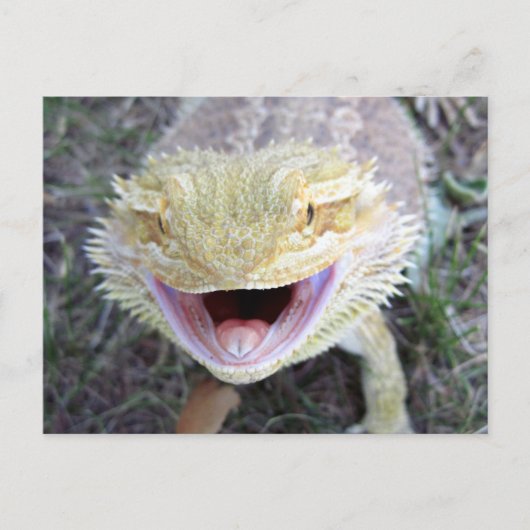Super Happy Bearded Dragon Briefkaart (Voorkant)