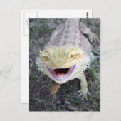 Super Happy Bearded Dragon Briefkaart (Voorkant / Achterkant)