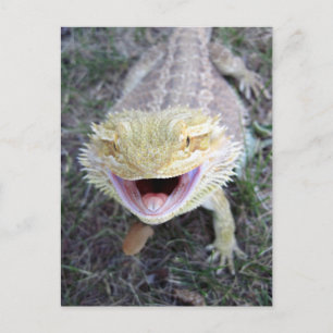Super Happy Bearded Dragon Briefkaart