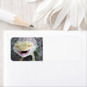 Super Happy Bearded Dragon Etiket (Insitu)