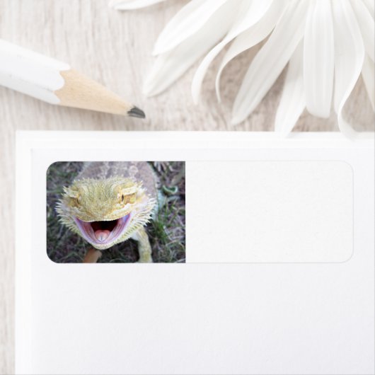 Super Happy Bearded Dragon Etiket (Insitu)