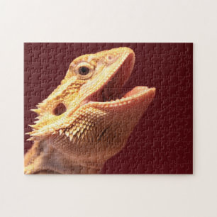 Super Happy Bearded Dragon Legpuzzel