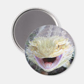Super Happy Bearded Dragon Magneet (Voorkant / Achterkant)