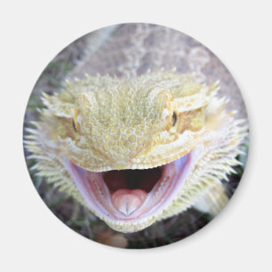 Super Happy Bearded Dragon Magneet