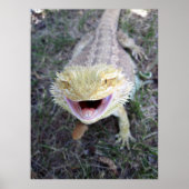 Super Happy Bearded Dragon Poster (Voorkant)