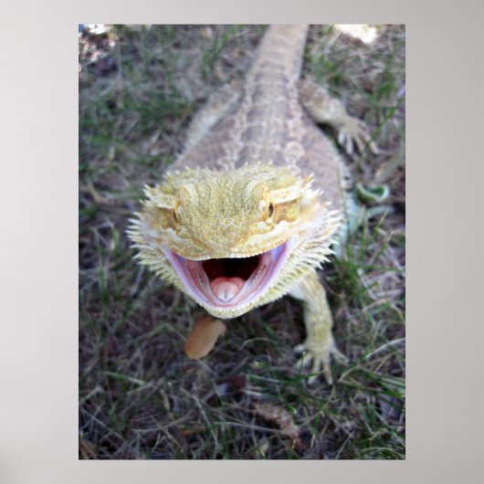 Super Happy Bearded Dragon Poster (Voorkant)