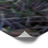 Super Happy Bearded Dragon Poster (Hoek)