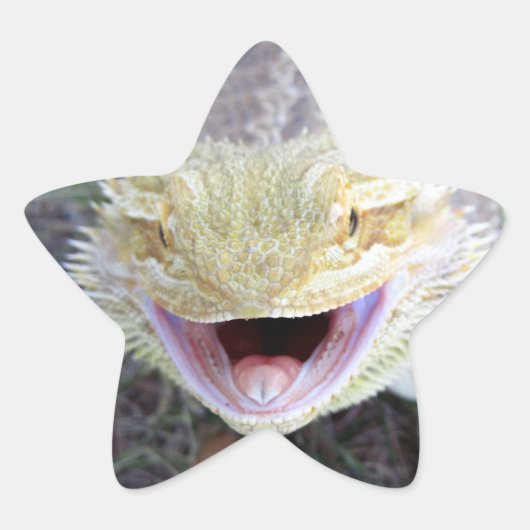 Super Happy Bearded Dragon Ster Sticker (Voorkant)