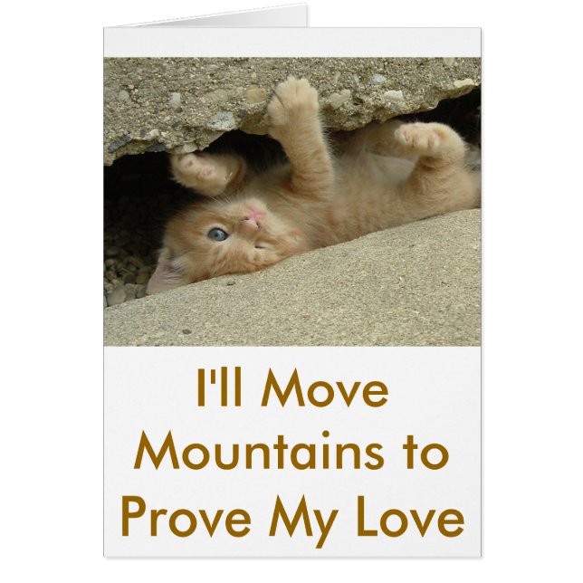 Super Hero Kitty Cat (Voorkant)