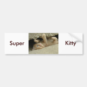 Super Hero Kitty Cat Bumpersticker