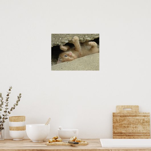 Super Hero Kitty Cat Humor Poster (Keuken)