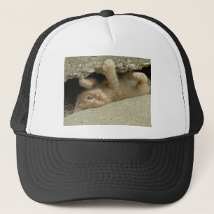 Super Hero Oranje Tabby Kitten Trucker Pet