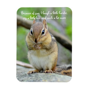 Super Leuke Chipmunk Vriendschap Quote Magneet