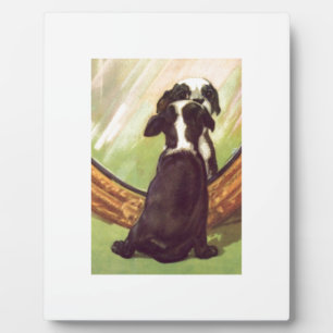 Super lief  Baby Boston Terrier Fotoplaat