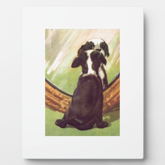 Super lief  Baby Boston Terrier Fotoplaat (Voorkant)