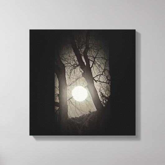 Super Moon Canvas Afdruk (Voorkant)