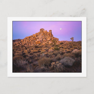 "Super-Moon Morning" Briefkaart