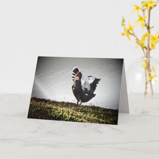 Super Muscovy Duck Wenskaart Kaart (Gele Bloem)