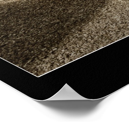 SUPER OVAL POSTER (Hoek)