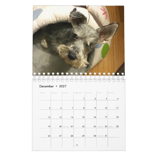 Super Owen 2016-agenda Kalender (Dec 2027)