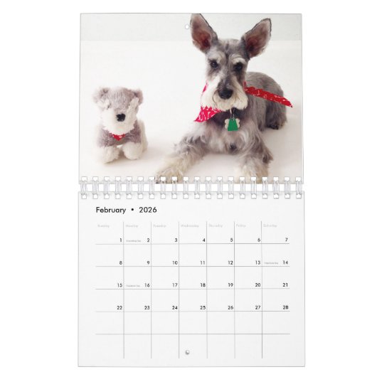 Super Owen 2016-agenda Kalender (Feb 2026)