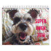 Super Owen 2016-agenda Kalender (Hoes)