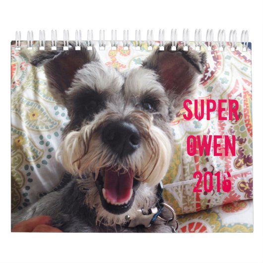 Super Owen 2016-agenda Kalender (Hoes)