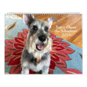 Super Owen the Schnauzer 2019 Calendar Kalender (Hoes)