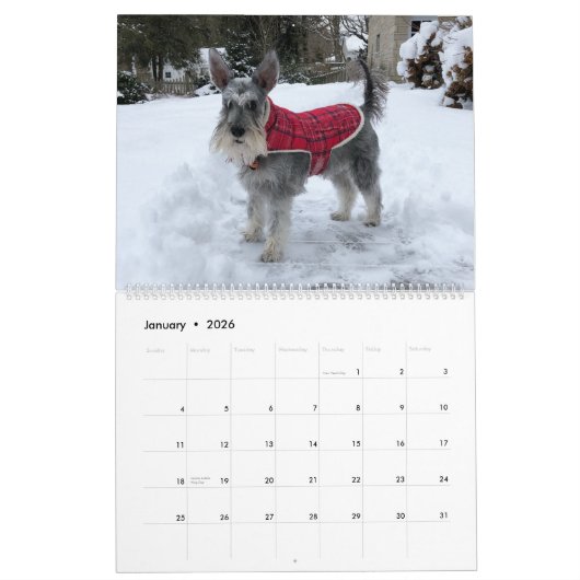 Super Owen the Schnauzer 2019 Calendar Kalender (Jan 2026)