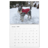Super Owen the Schnauzer 2019 Calendar Kalender (Jan 2027)