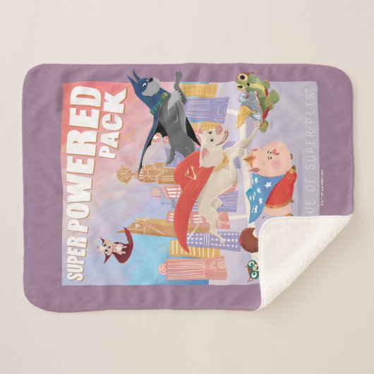 Super Powered Pack Metropolis Illustratie Sherpa Deken (Voorkant (horizontaal))