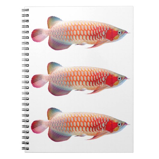“Super Red Arowana”のスプリングノート Notitieboek (Voorkant)