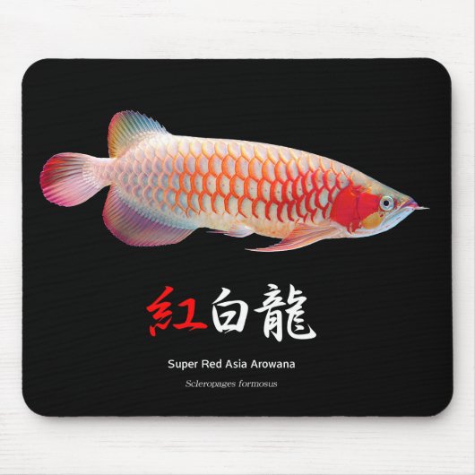 "Super Red Arowana"の 良 品 2 Muismat (Voorkant)