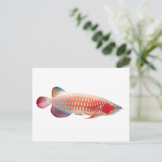 Super Red Arowana Briefkaart (Staand voorkant)