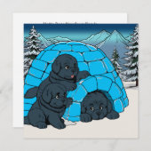 Super relaxte Newfoundlander puppy Feestdagenkaart (Voorkant / Achterkant)