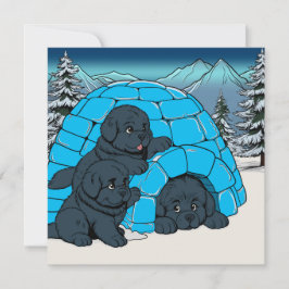 Super relaxte Newfoundlander puppy  Feestdagenkaart